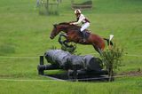 jumping horse 2d